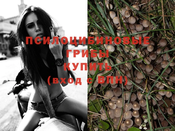 ALPHA-PVP Рославль