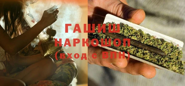 стаф Мензелинск
