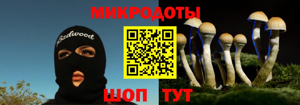 Псилоцибиновые грибы GOLDEN TEACHER Темрюк